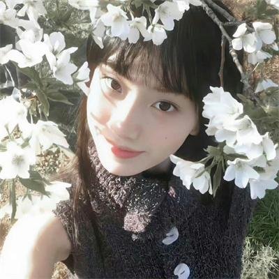 小小羊儿要回家